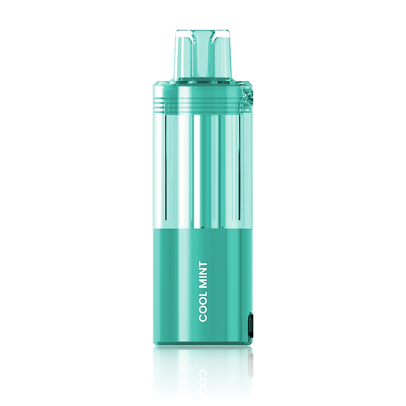 Cool Mint Zenbar Vape Pod 30K Puffs